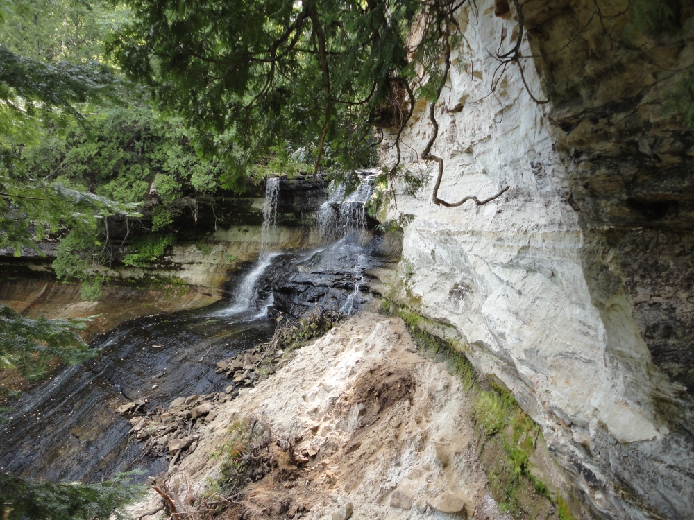 A photo of the Sandstone Cliff natural community type