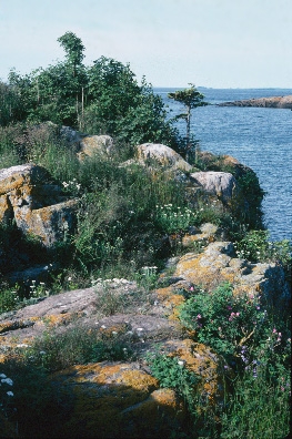 species photo