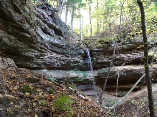 A photo of the Sandstone Cliff natural community type